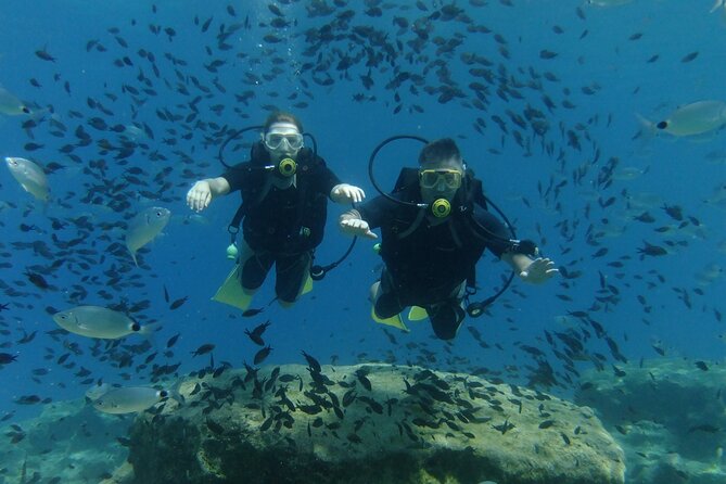SCUBA DIVING first time experience - Green Bay, fish, rocks, and a possible turtle