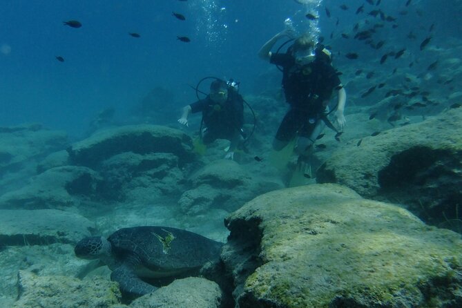 SCUBA DIVING first time experience - Why the small-group format matters