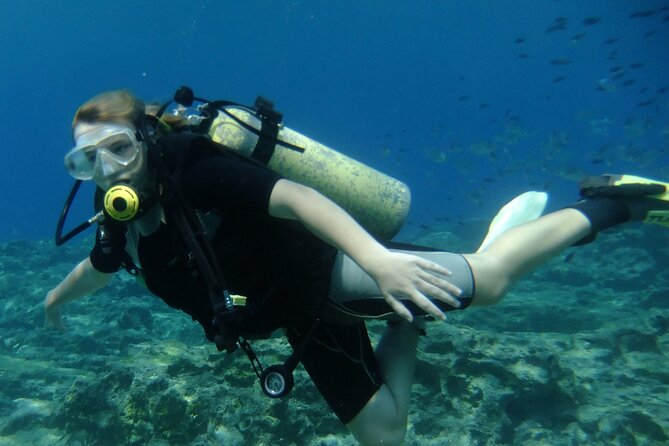 SCUBA DIVING first time experience - Is $90.74 good value?