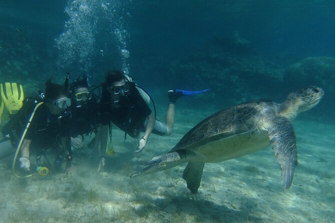 SCUBA DIVING first time experience - The briefing with Claire, Ivi, and the Tempo Divers team