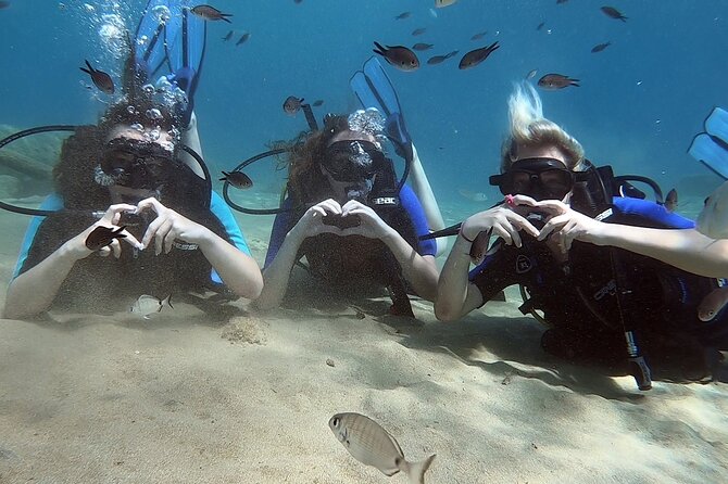Scuba Diving for Beginners with a PADI Instructor near Heraklion - Pickup from Heraklion and the six-hour timetable