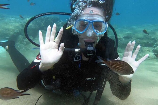 Scuba Diving for Beginners with a PADI Instructor near Heraklion - Who should book this beginner scuba experience?
