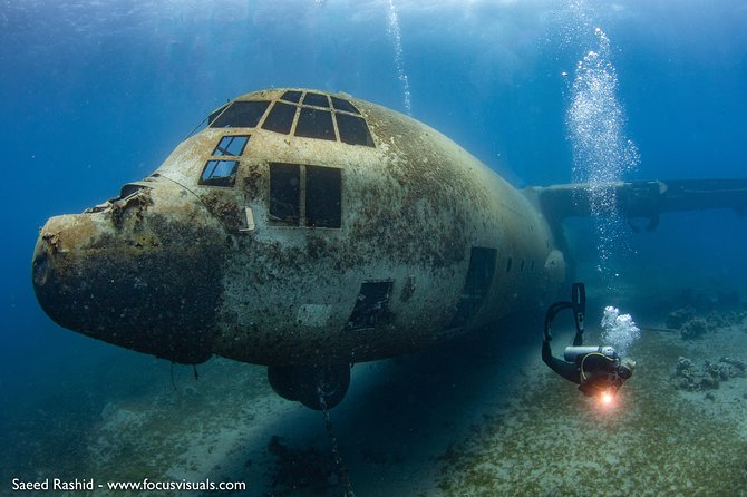 Scuba Diving for Certified Divers - Aqaba’s Unusual Underwater Sights