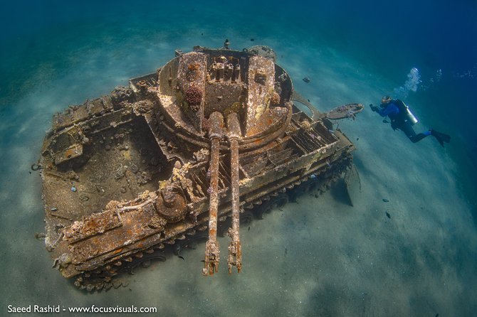 Scuba Diving for Certified Divers - Two Boat Sessions, Not One Long Underwater Visit