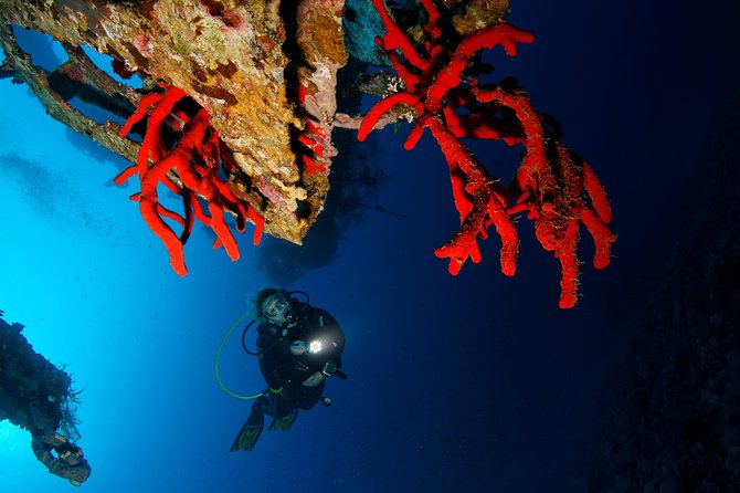 Scuba Diving for Certified Divers - Lunch on the Boat