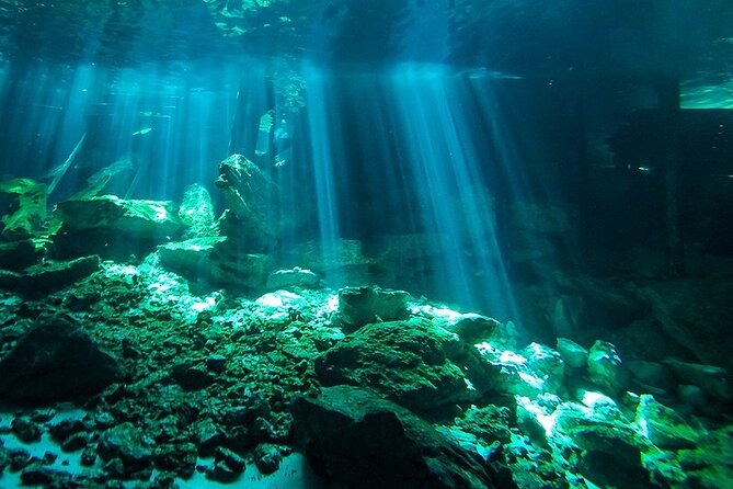 Scuba Diving in Cenote Dos Ojos from Playa del Carmen - Why Dos Ojos feels different from a normal scuba outing