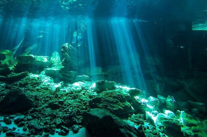 Scuba Diving in Cenote Dos Ojos from Playa del Carmen - A surface interval with lunch