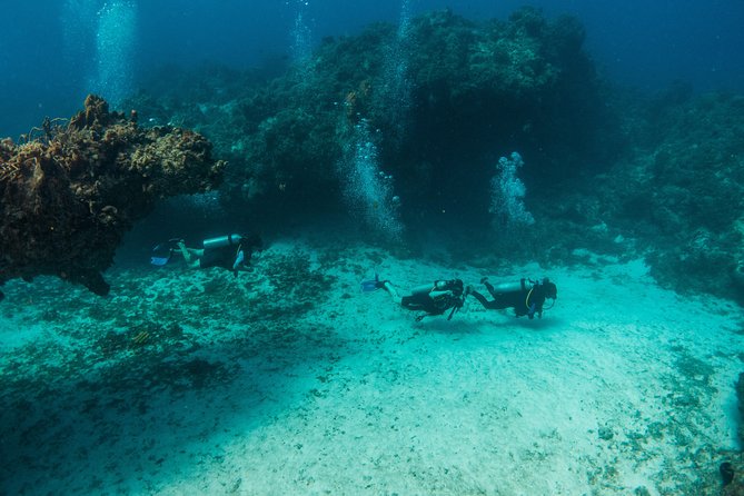 Scuba Diving in Cozumel Island - The second reef session and return to shore