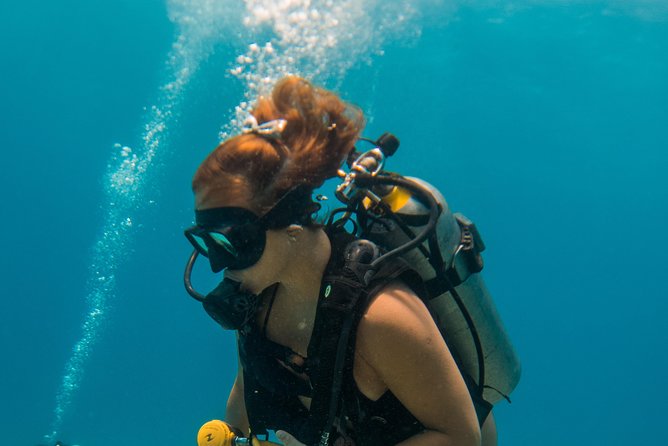 Scuba Diving in Cozumel Island - The ferry arrangement adds real value