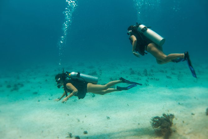 Scuba Diving in Cozumel Island - Certified and non-certified participants