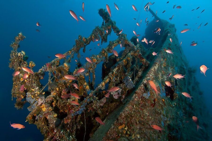 Scuba Diving in Dubrovnik: 1 Dive for Certified Divers - Twelve Adriatic sites, one compact session