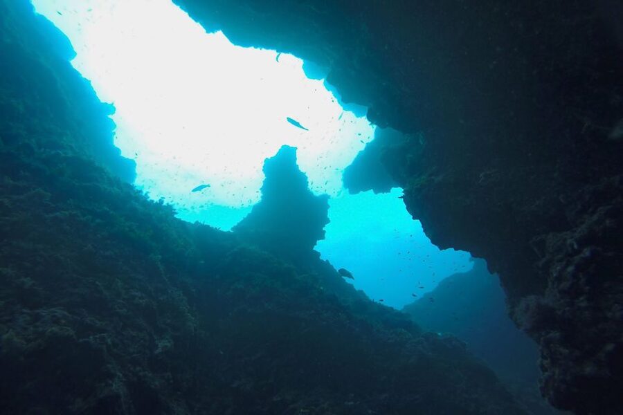 Scuba Diving in Dubrovnik: 1 Dive for Certified Divers - The Taranto wreck, ten minutes from Blue Planet