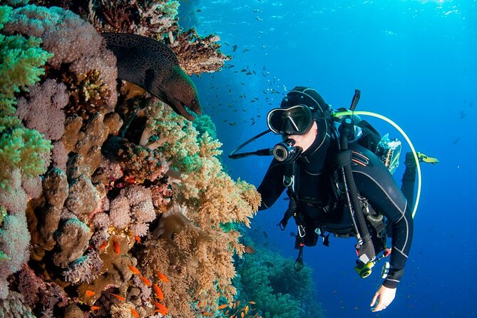 Scuba Diving in Fujairah with Private Transfers - From Dubai to Dibba Al Fujairah before breakfast