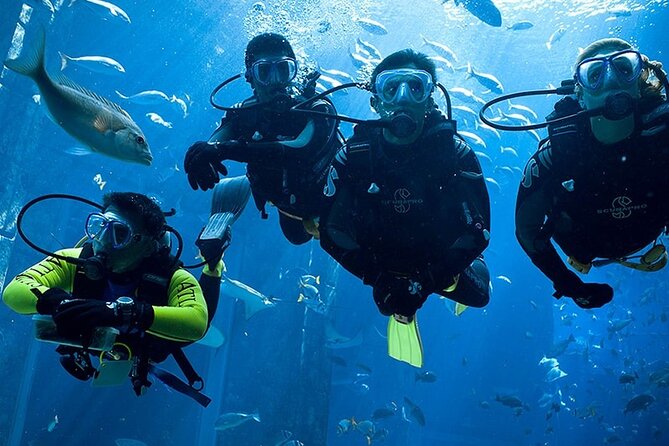 Scuba Diving in Fujairah with Private Transfers - Coral reefs, wrecks, and marine life near Fujairah