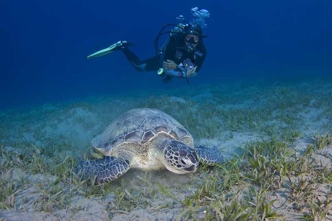 Scuba Diving in Fujairah with Private Transfers - The boat ride and crew support