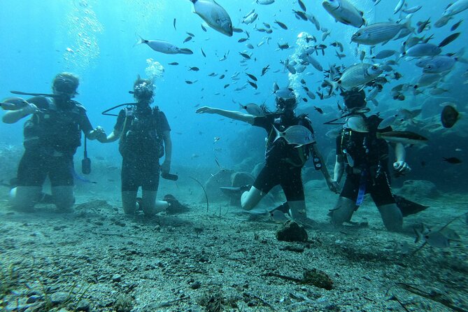 Scuba Diving in Fujairah with Private Transfers - Snorkeling adds a lighter second activity