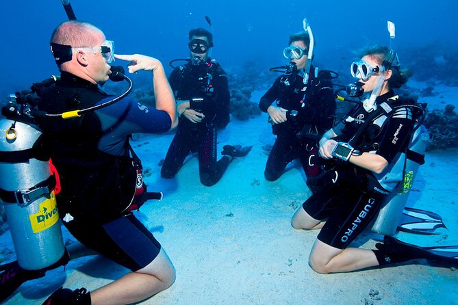 Scuba Diving in Fujairah with Private Transfers - Who will get the most from this trip