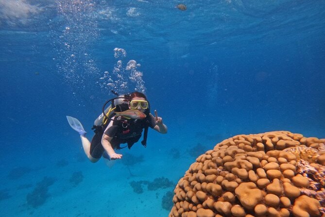 Scuba Diving in Hurghada _ 2 Stops Dive With Equipments & Lunch - Lunch, soft drinks, and time on the boat