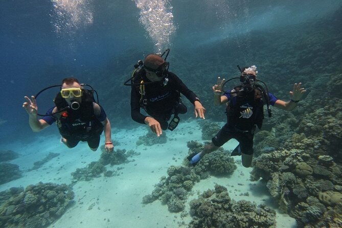 Scuba Diving in Hurghada _ 2 Stops Dive With Equipments & Lunch - What the $40.65 price really includes
