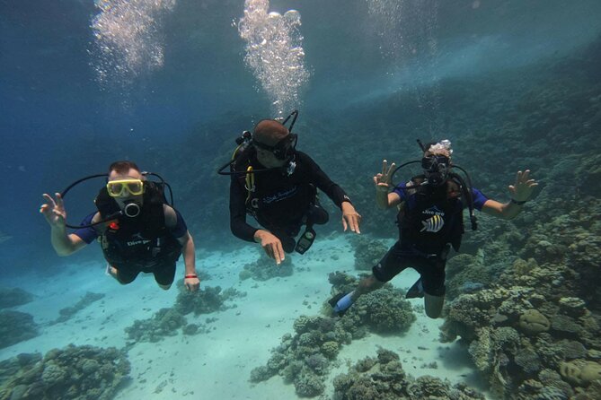 Scuba Diving in Hurghada _ 2 Stops Dive With Equipments & Lunch - The second site, snorkeling, and swimming