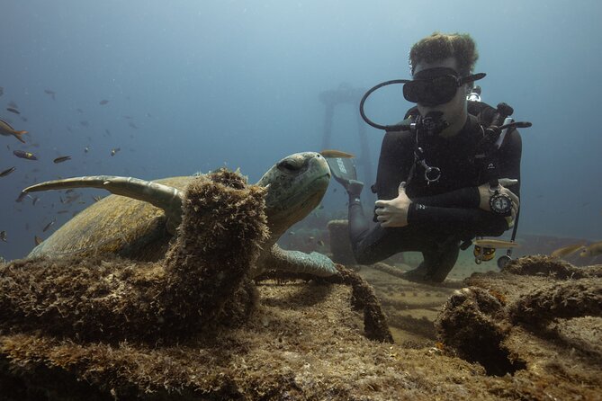 Scuba Diving in La Paz Private Trip - Practical details before you book