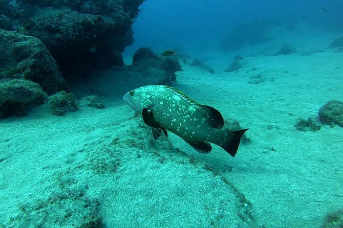 Scuba Diving in Lanzarote (for certified divers only) - Entering from the beach or pier