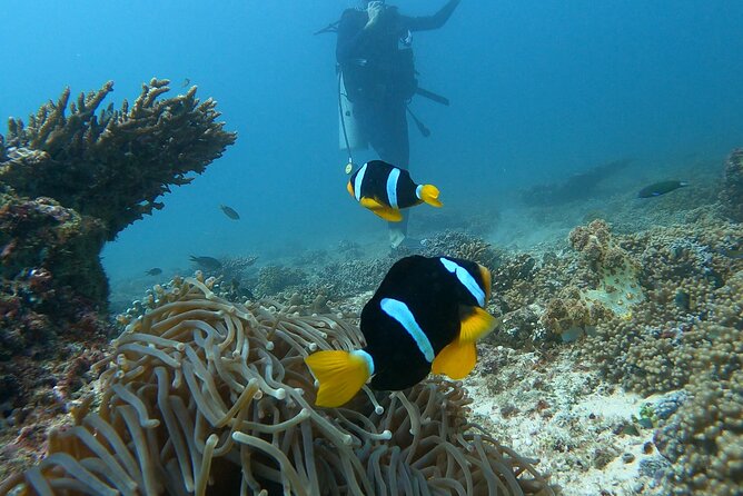 Scuba Diving in muscat - Gear fitting and the first safety lesson