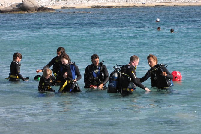 Scuba Diving in Naxos by Bluefindivers - Dive in Greece - Amazing Diving Spots - The 35-minute PADI lesson