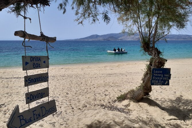 Scuba Diving in Naxos by Bluefindivers - Dive in Greece - Amazing Diving Spots - What the $169.31 price really covers
