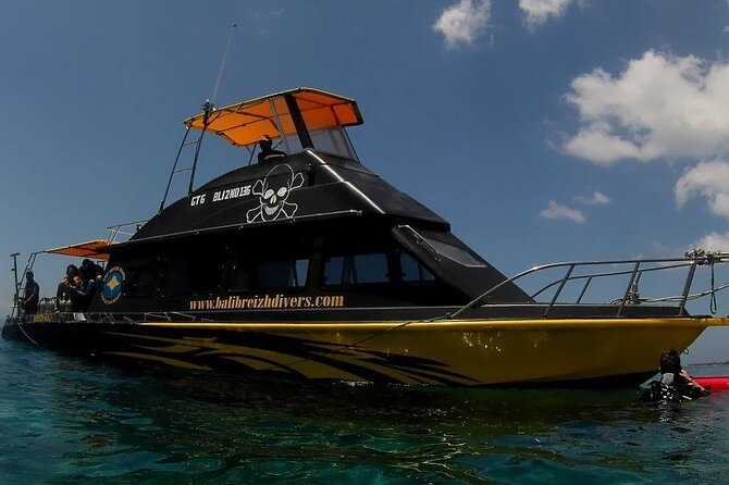 Scuba Diving in Nusa Penida Island and Manta Point - Key points to know before booking