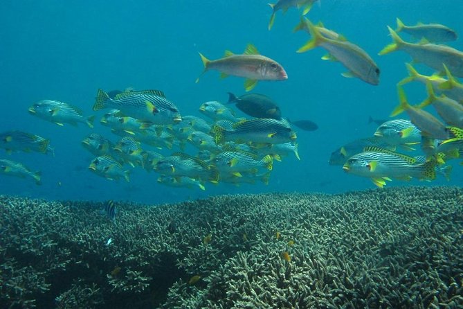 Scuba diving in PADANG BAY BALI - Timing, health, and flight planning