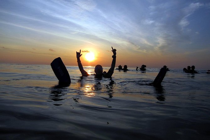 Scuba Diving Kata Beach Night Dive for Certified Divers - Why Kata Beach works so well at night