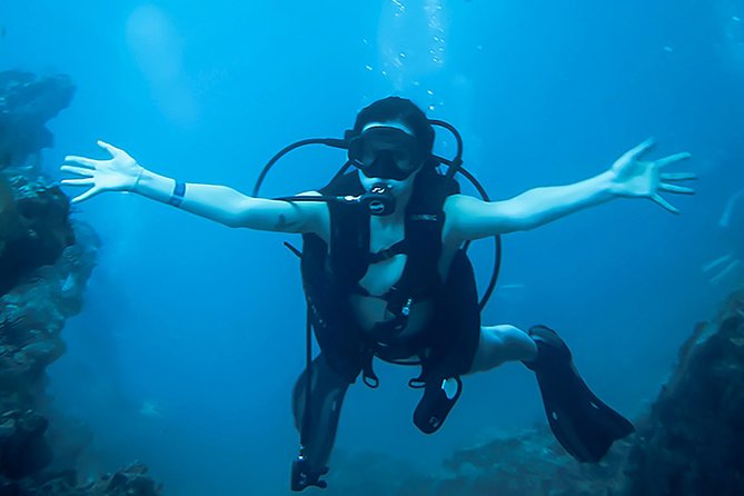 Scuba Diving Marietas Islands - From C. 10 de Mayo 2 to Banderas Bay