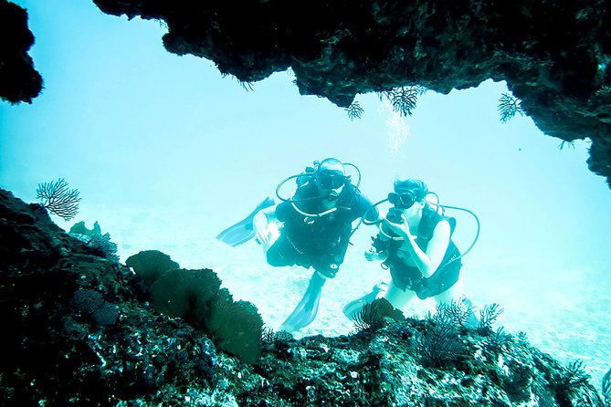 Scuba Diving Marietas Islands - Punta de Mita marks the route offshore