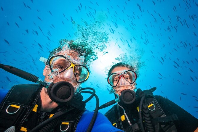 Scuba Diving to Dimaniyat Islands Muscat Oman - Practical timing, weather, and cancellation