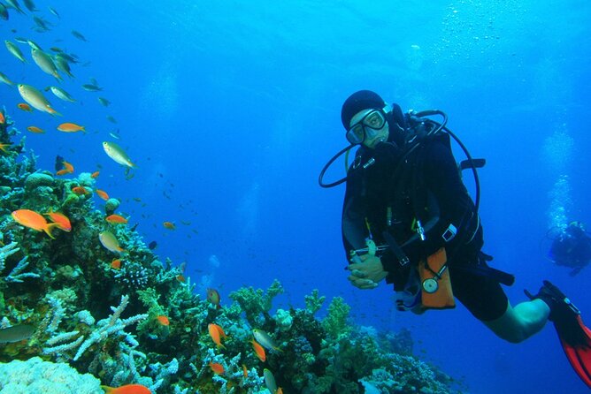 Scuba Diving to Dimaniyat Islands Muscat Oman - What the five-hour boat outing feels like