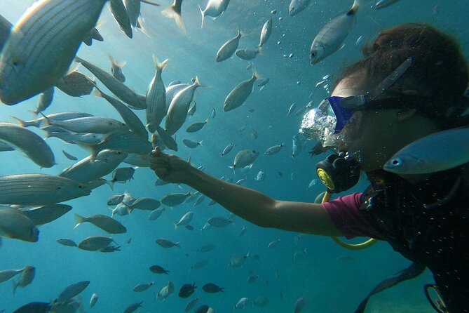 Scuba Diving Tour With Lunch in Alanya - What non-divers can do on board