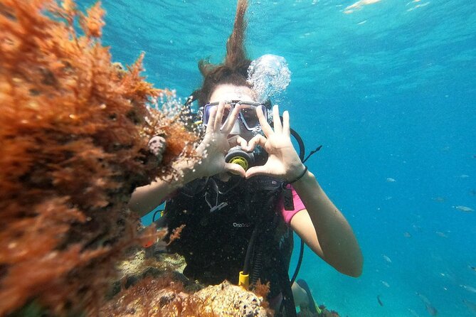 Scuba Diving Tour With Lunch in Alanya - The photo and video decision