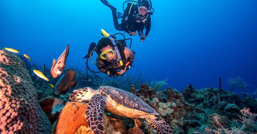 Scuba Diving Tour with Transfer From Alanya and city of Side - The day begins with a transfer from Alanya or Side