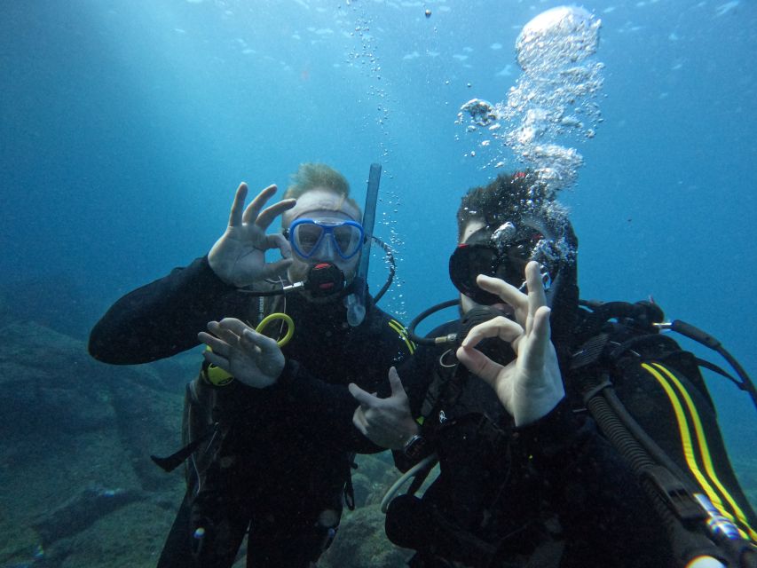 Scuba Diving trips for Certified Divers in Tenerife - Key points to know before booking