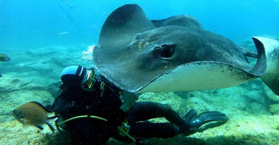 Scuba Diving trips for Certified Divers in Tenerife - The 30-minute safety briefing