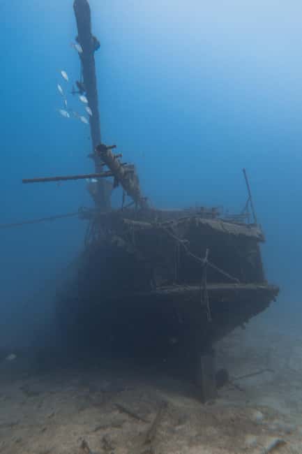 Scuba Diving trips for Certified Divers in Tenerife - How the small-group setup affects your time