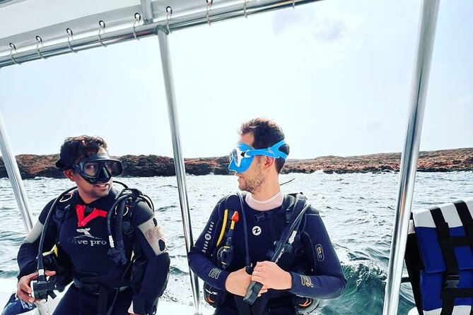 Scuba Diving Trips to Dimaniyat Islands - Coral gardens and the chance of wildlife