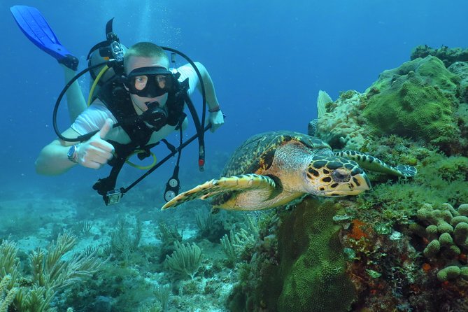 Scuba Diving Under Water Museum and Reef for beginners - Key points at a glance
