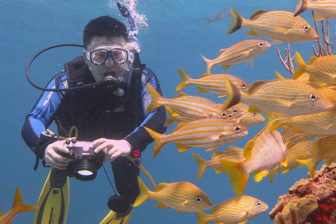 Scuba Diving Under Water Museum and Reef for beginners - Cost, extra fees, and what you receive