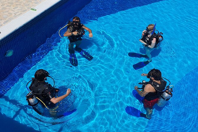 Scuba Diving Under Water Museum and Reef for beginners - Who should book this experience
