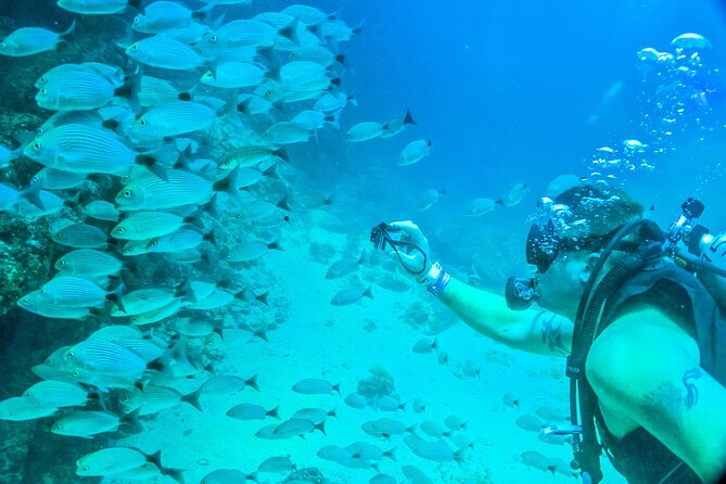 Scuba Diving with a 5-Star PADI Center in Puerto Vallarta - Leaving Puerto Vallarta for Banderas Bay