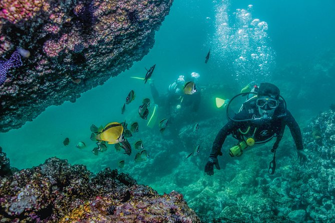Scuba Diving with a 5-Star PADI Center in Puerto Vallarta - What the Two-Tank Format Really Means