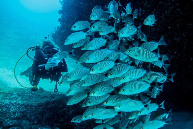 Scuba Diving with a 5-Star PADI Center in Puerto Vallarta - Equipment, Water Temperature, and Physical Demands