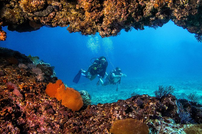 Scuba Diving with a 5-Star PADI Center in Puerto Vallarta - Guides and Group Safety